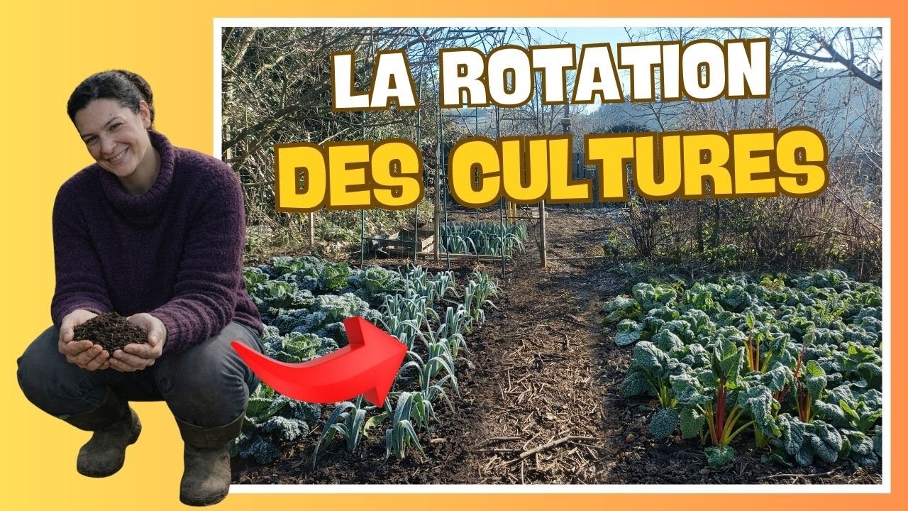 🌿 La rotation des cultures
