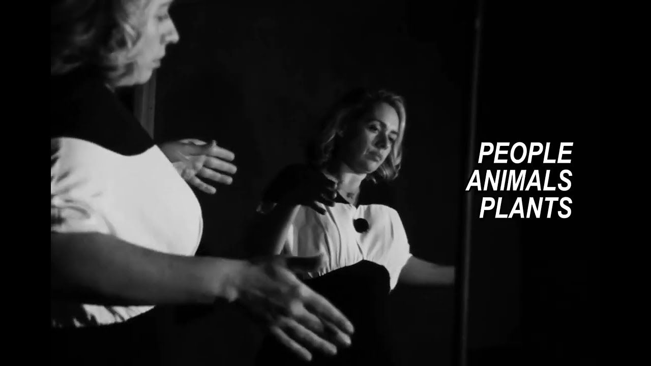 La Force - october (Lyric Video)