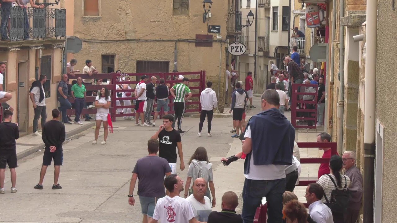 Encierro Fiestas Juventud 2024 - Carcastillo.