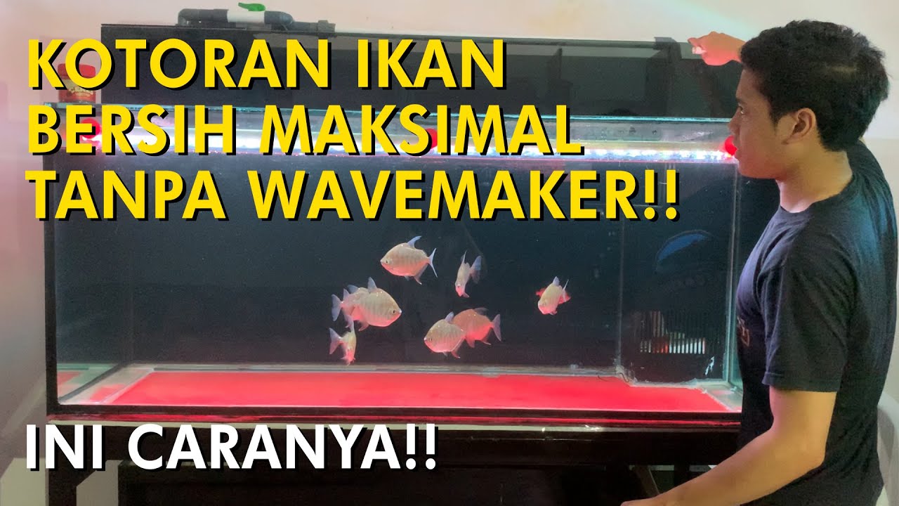 Pengaturan Input dan Output Top Filter Terbaik - Bersih Tanpa Wavemaker!