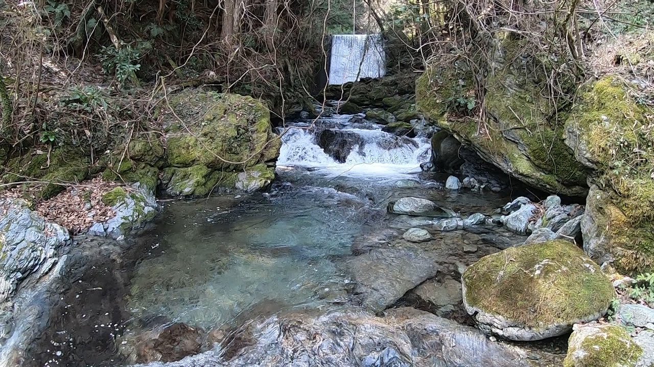 【仁淀川BASE#3】沢水を利用して日本一綺麗な生活用水に。