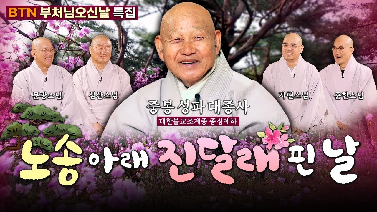💥[최초] 대한불교조계종 최고어른!!종정예하 중봉성파대종사와 네스님들이 만났다!! |BTN부처님오신날 특별대담 노송 아래🌸진달래 핀날