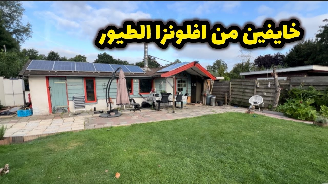 خفنا من افلونزا الطيور و حبسناهم في الحديقه  لي شرينا ب 7000 €و ديتكم معايا لليدل فيه هميزات روعة 