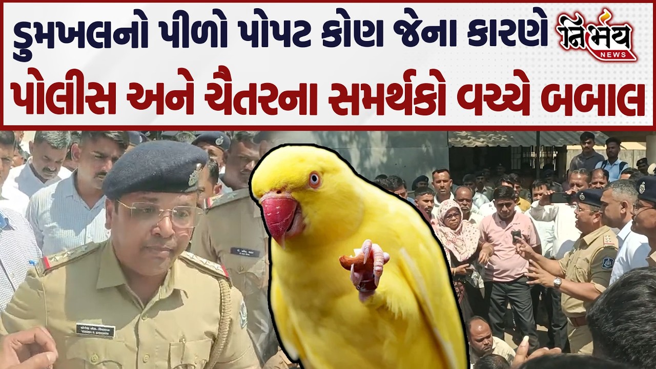 Chaitar Vasava ના સમર્થકો અને પોલીસ વચ્ચે બબાલ કેમ કોણ છે ડુમખલનો પીળો પોપટ ? | Nirbhay news |