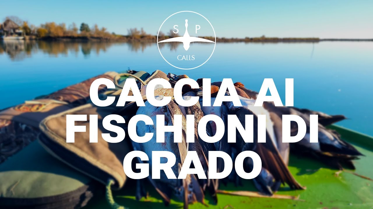 A CACCIA DI FISCHIONI A GRADO  #cacciaagliacquatici  #caccia  #duckhunting