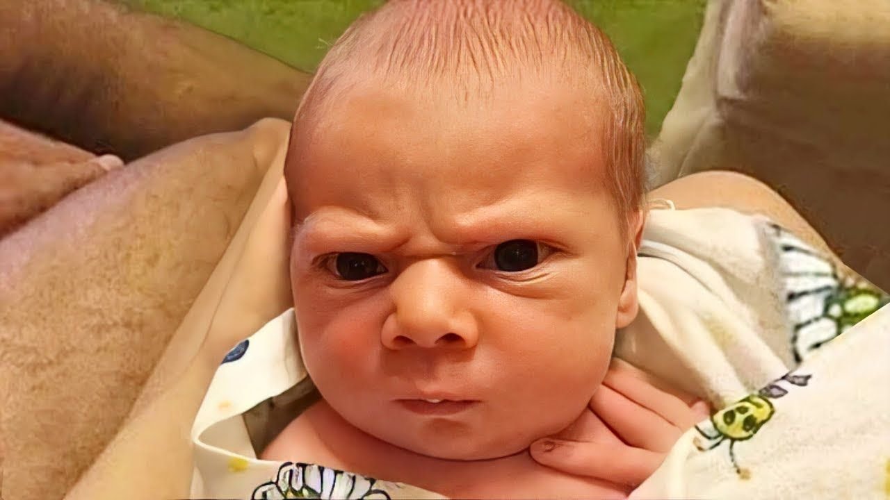 Les b&eacute;b&eacute;s en col&egrave;re qui sont si mignons et dr&ocirc;les que vous regarderez cette vid&eacute;o plusieurs fois