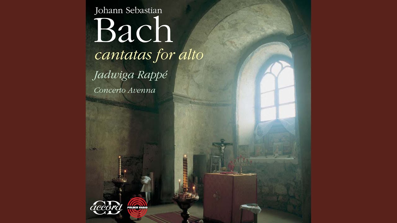 Geist und Seele wird verwirret, BWV 35: Sinfonia