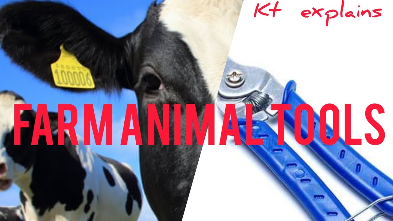 Farm Animal Tools _ Animal Hygiene #AGRICULTURE #ANIMAL FARMING by Poornima Thennakoon