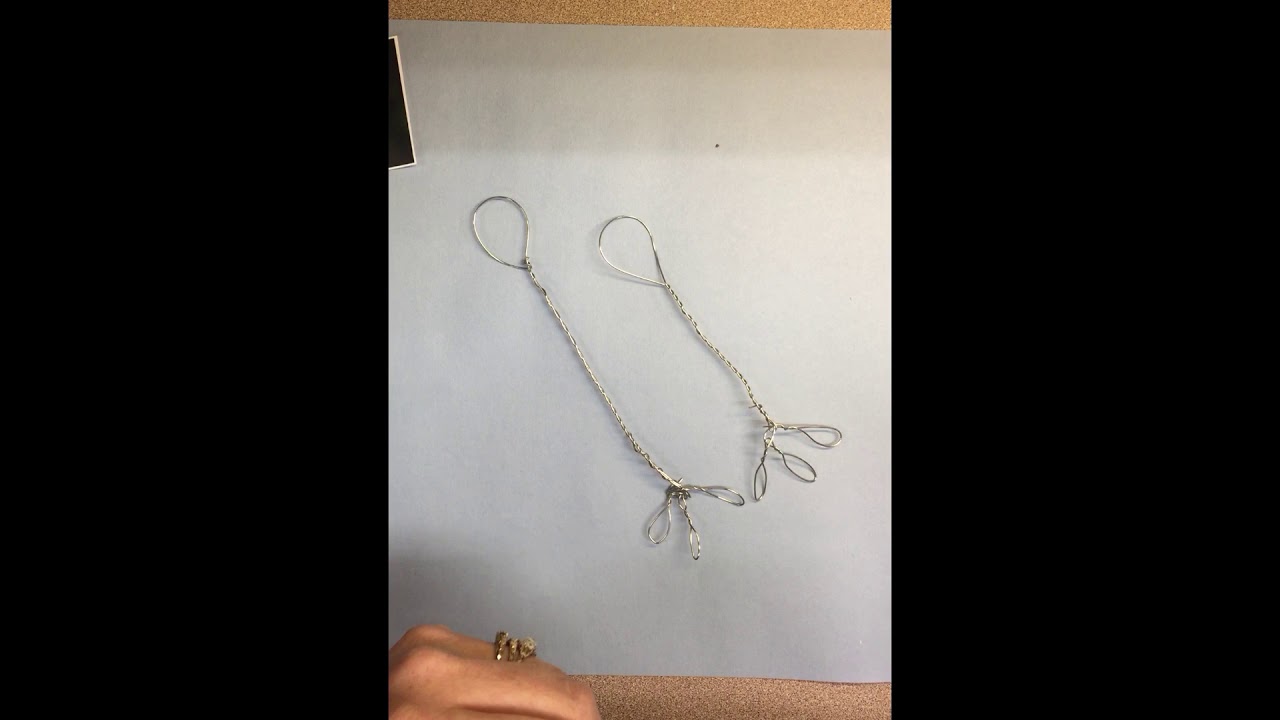 Build an Armature for Your Bird Sculpture