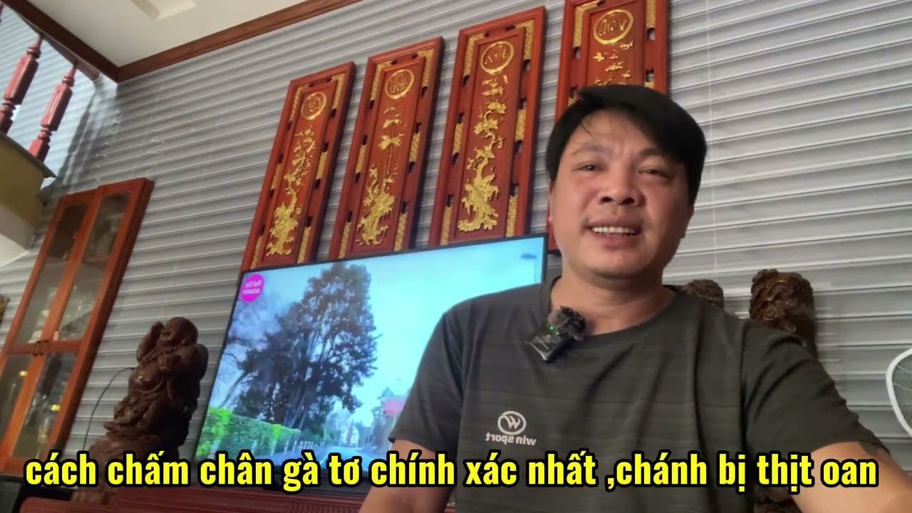 cách chấm chân gà tơ chính xác nhất , chánh thịt nhầm_tintuc24h_kinh nghiệm từ [thọ gà lai]