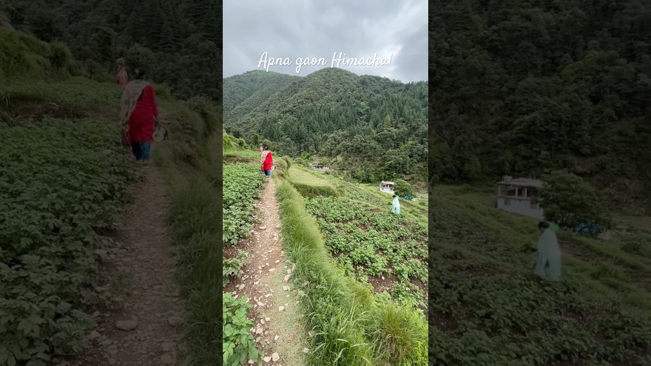 Apna gaon🧿#karerivillage #nature #youtube #youtubeshorts 🌸🌸🌸