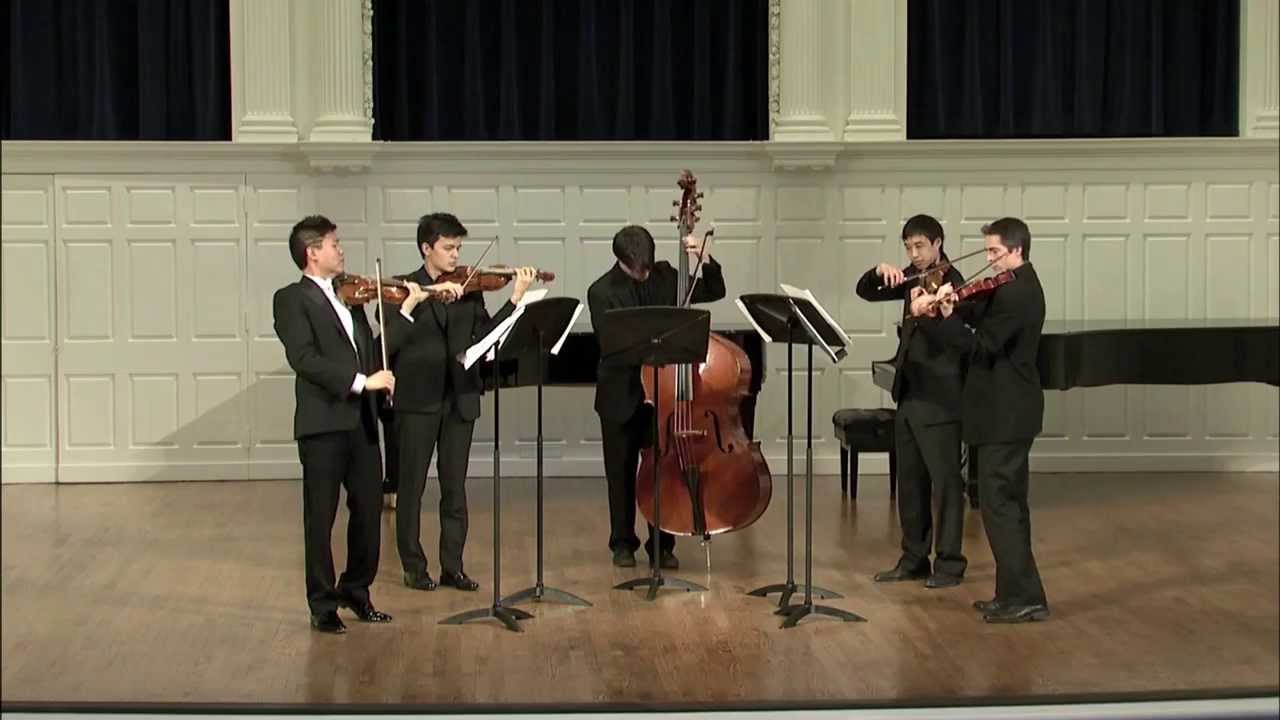 Fantasy on Bizet's Carmen for 4 Violins and Bass [HD]