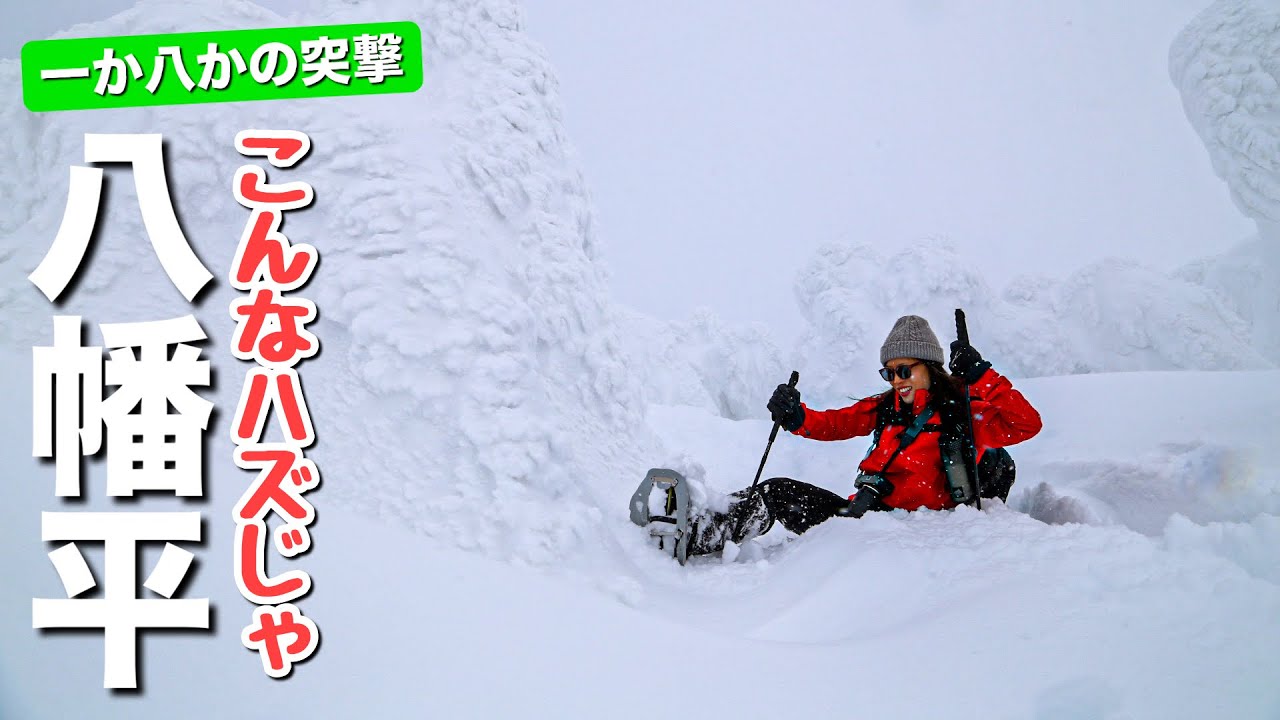 【一か八かの突撃】見たい景色があるんだ！晴れを信じて岩手県の八幡平に行ってきました
