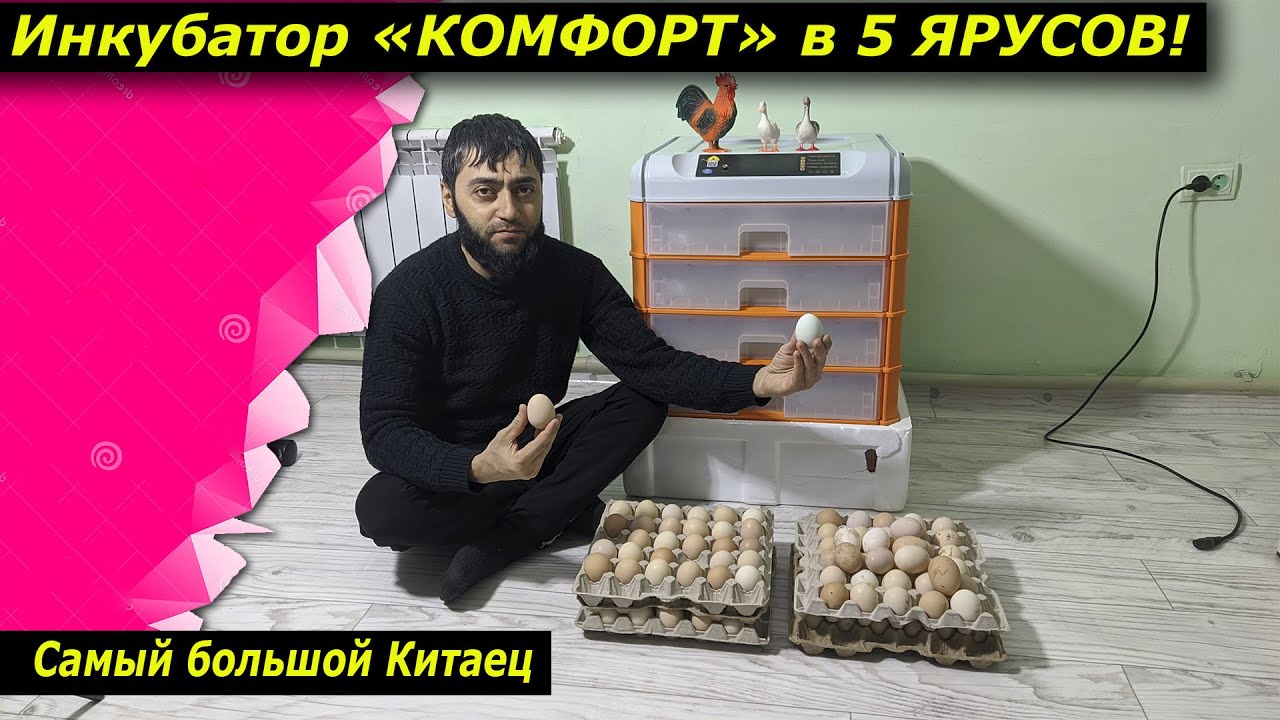 Инкуб Комфорт/Полная закладка/Нет влаго-испарителя/обзор панели управления/моем яйца перед закладкой