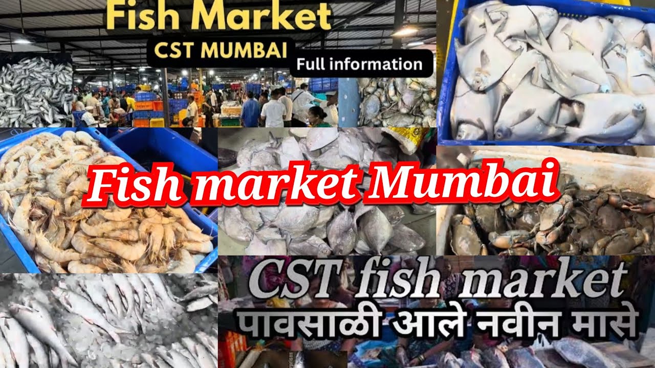 Mumbai Cst Fish Market | Cst Fish Market | Mumbai Fish Market | Wholesale Fish Market In Mumbai