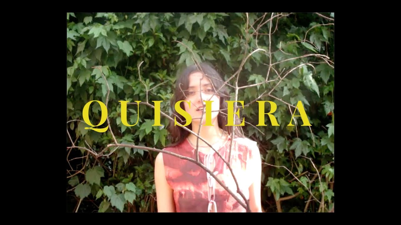 Flor De Jamaica - Quisiera (Video Lyric)
