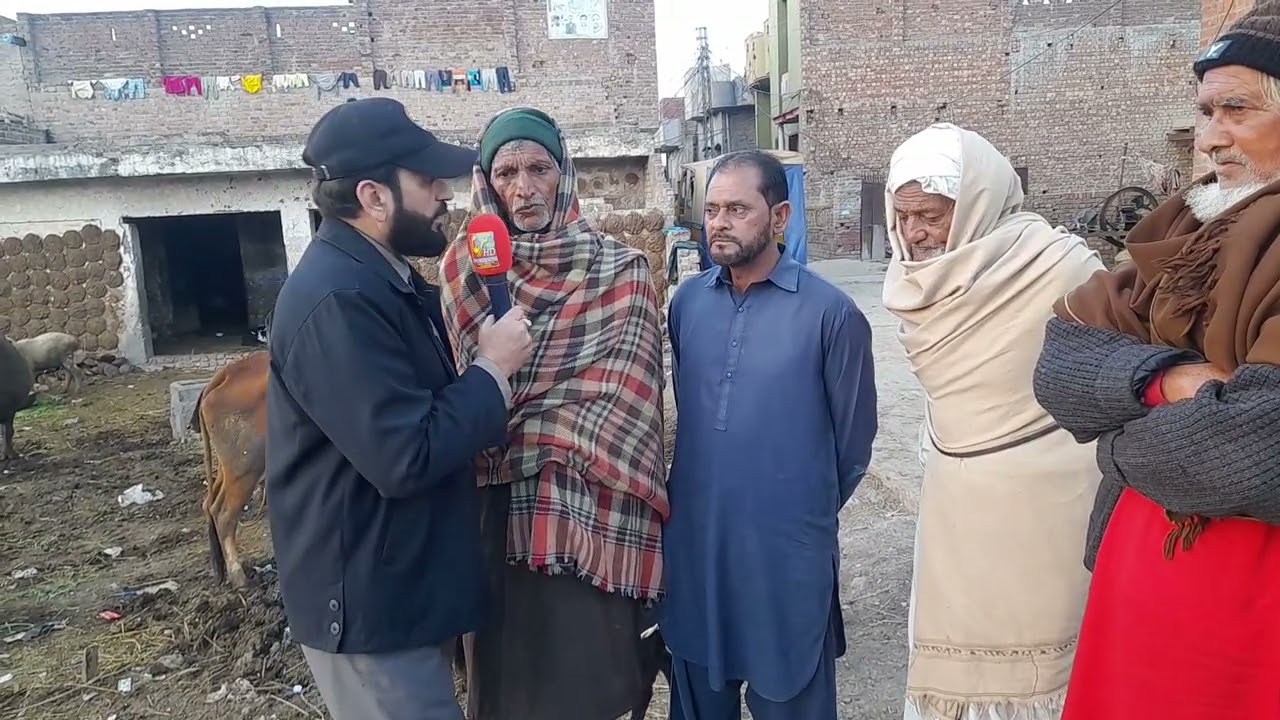 Sanywala gujranwala mein primary school 🏫|| bhainso ka bardi ban gya||