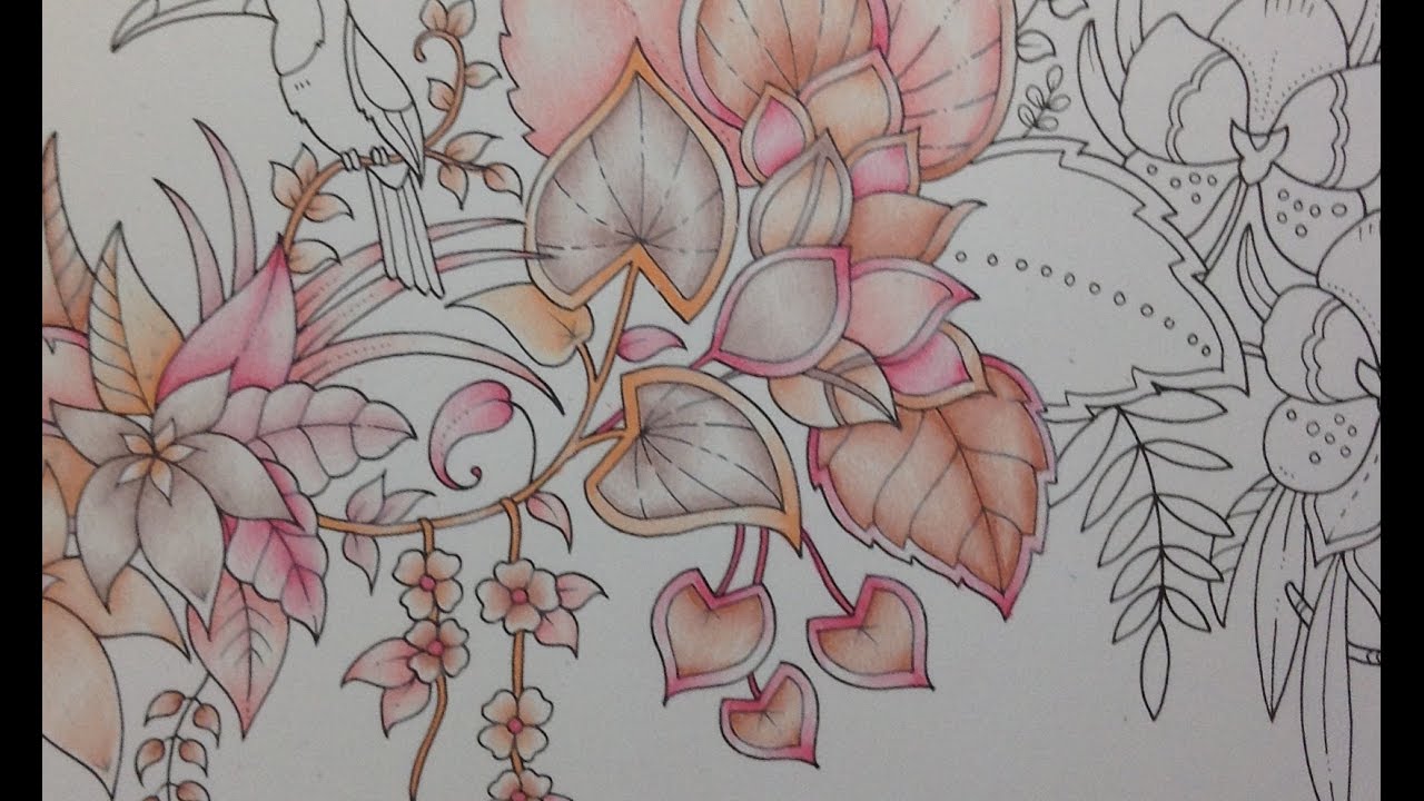 MAGICAL JUNGLE - prismacolor pencils - color along part 1