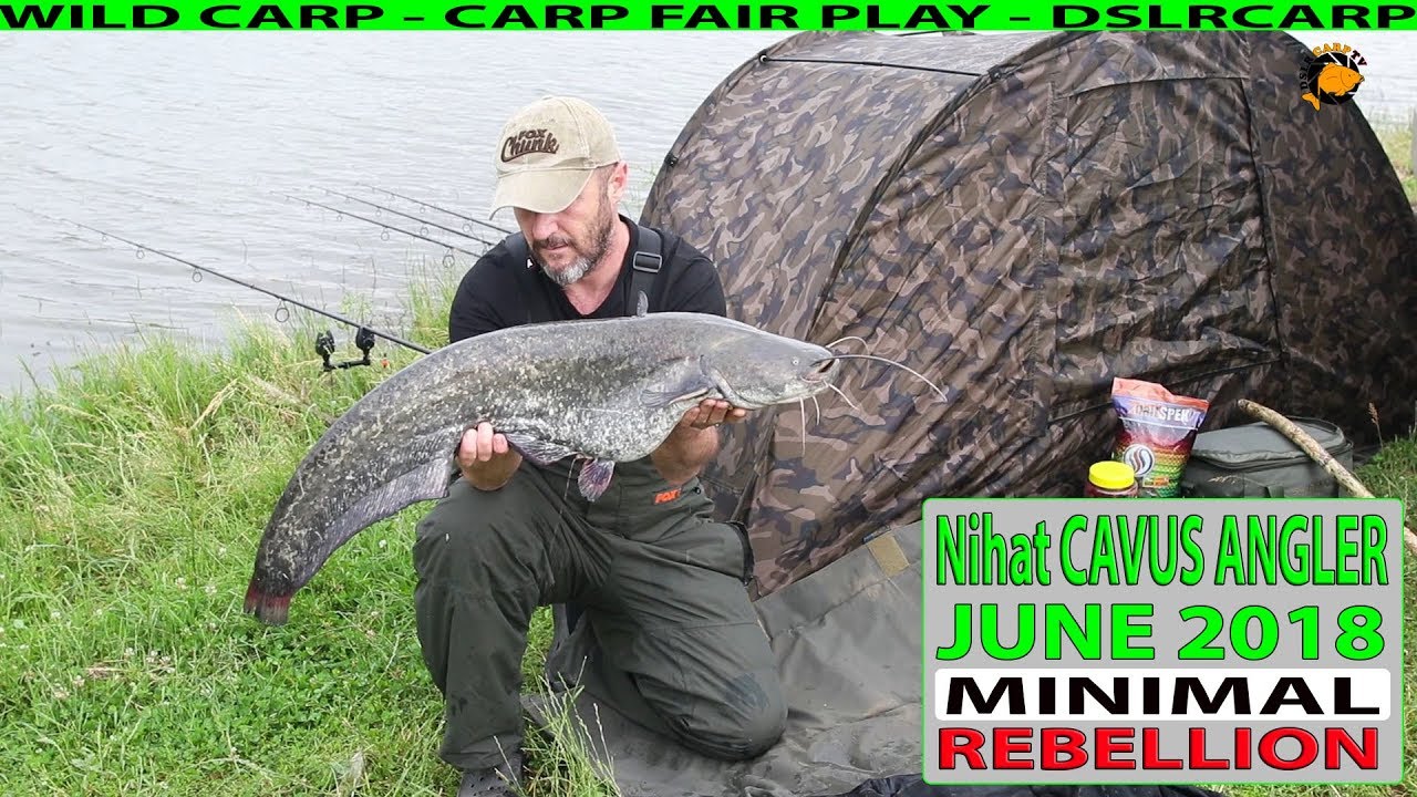Fishing - Minimal Rebellion 2018