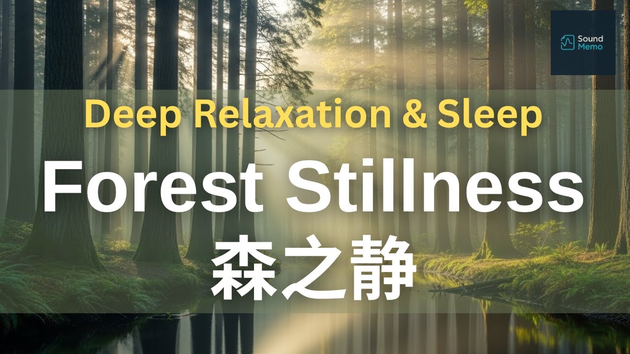 🌿 Forest Stillness (森之静) | Deep Relaxation & Sleep New Age Music (10-Track Instrumental Album)