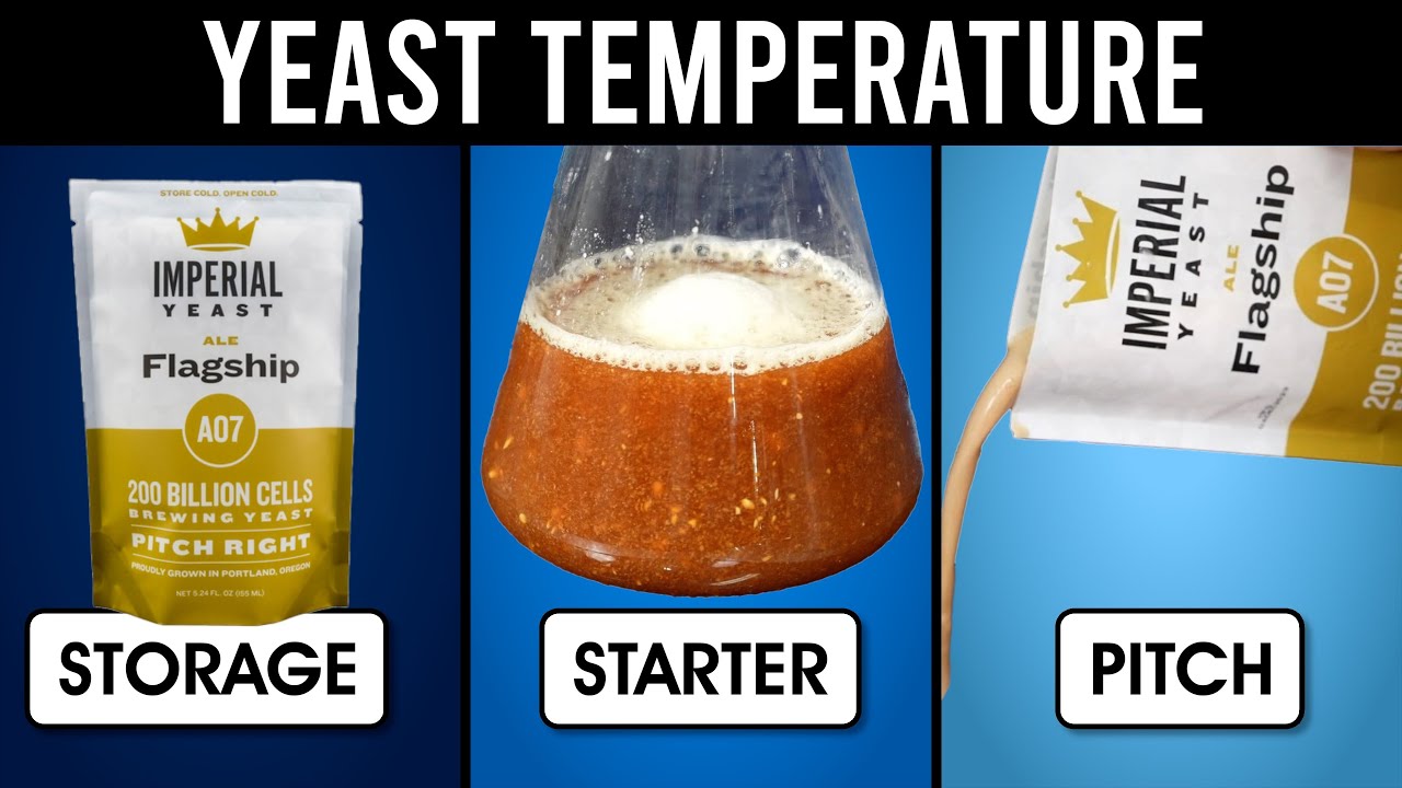 Температура дрожжей — хранение, закваски и закваска | exBEERiments