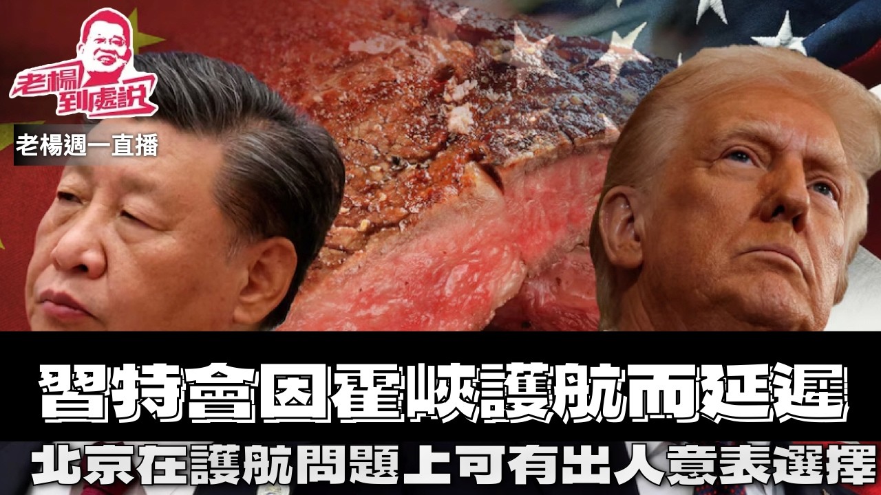 老楊週一直播 ，一般認為，中國不會參與特朗普組織的霍爾木茲護航，習特會可能延遲但不會取消，中國參與護航問題，可有出人意表的選項 與AI對話探討各種可能性 其他時政話題，歡迎互動交流
