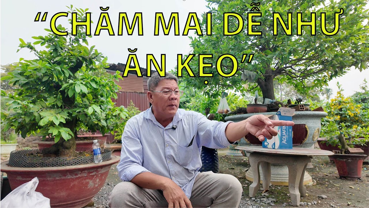 Khán giả hỏi, anh Út trả lời #maivang68