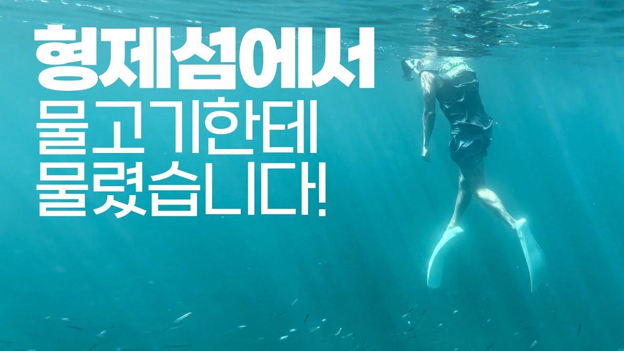 제주 형제섬에서 물고기한테 물렸습니다! | 형제섬 호핑투어 스노클링