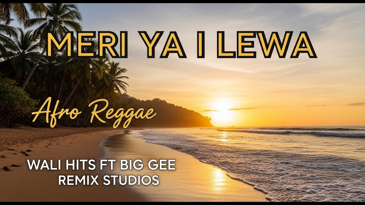 🔥🔥 Meri Ya I Lewa – Afro Reggae | Wali Hits ft Big Gee Remix Studios