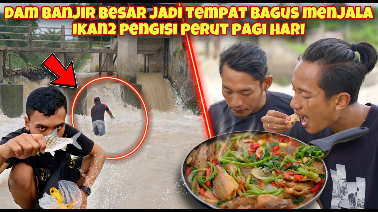 JAM 6 PAGI BERBURU IKAN DI DAM BANJIR BANDANG LANGSUNG OLAH DI PINGGIR SUNGAI