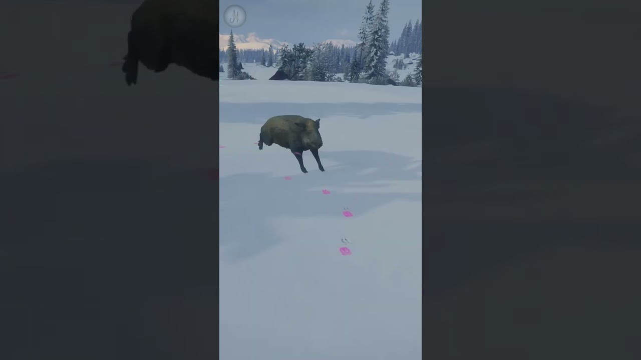 CRAZY BUGGED Wild Boar!😄😄Funny Shot with LONGBOW Alexander, Medved-Taiga theHunter: Call of the Wild