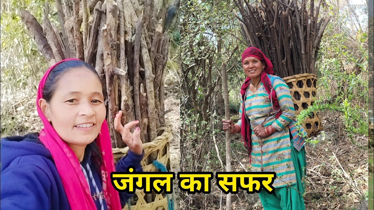 आज जंगल की ओर||pahadi Life style vlog||बेटी ब्वारी पहाड़ की||asha farswan vlog