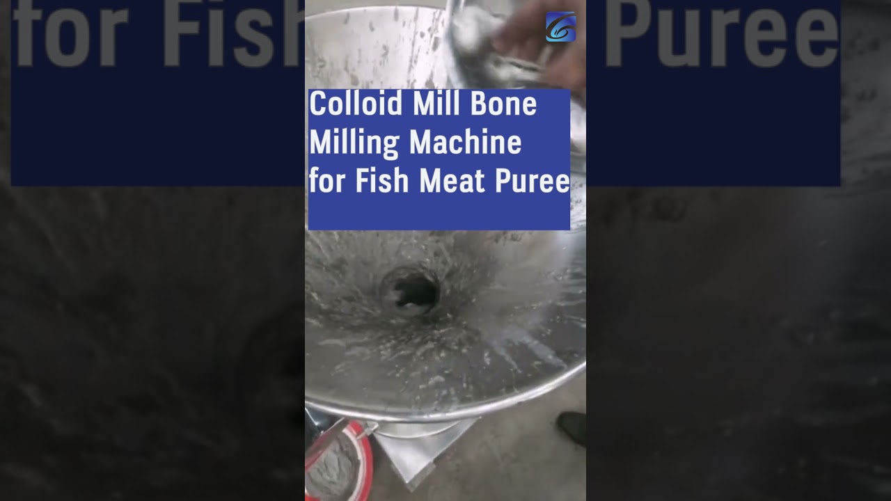Colloid Mill Bone Milling Machine for Fish Meat Puree | Colloid Mill for Sale | Colloid Mill Working