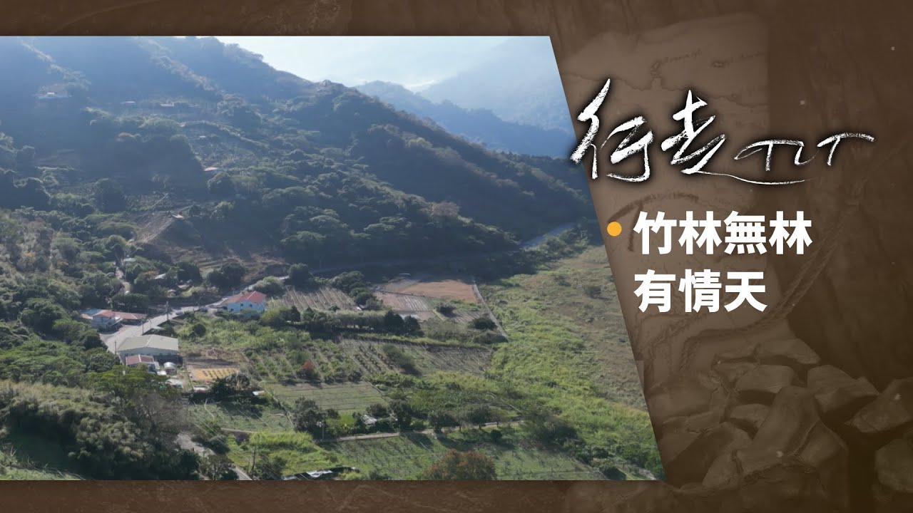 竹林無林 有情天 | 行走TIT 第341集