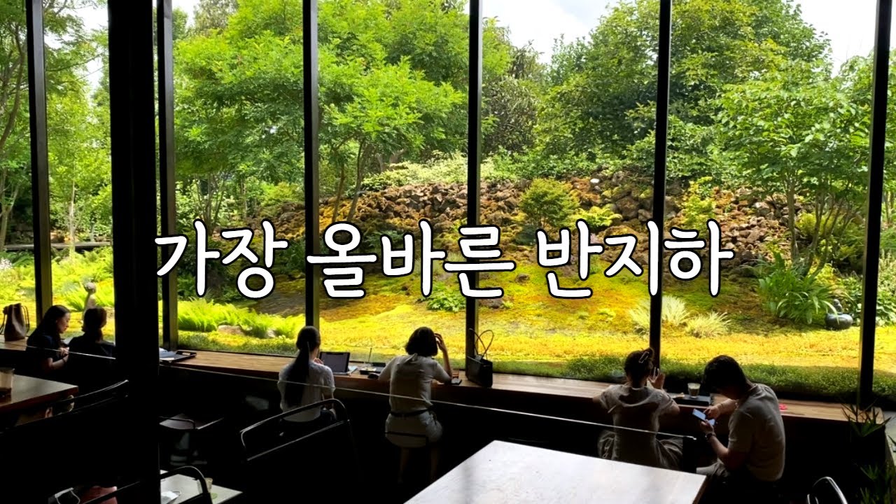 가장 올바른 반지하, 제주도 베케 정원 I 식물 좀 한다는 사람들이 가는 정원 I 베케 정원에 가기 전에 꼭 봐야할 영상