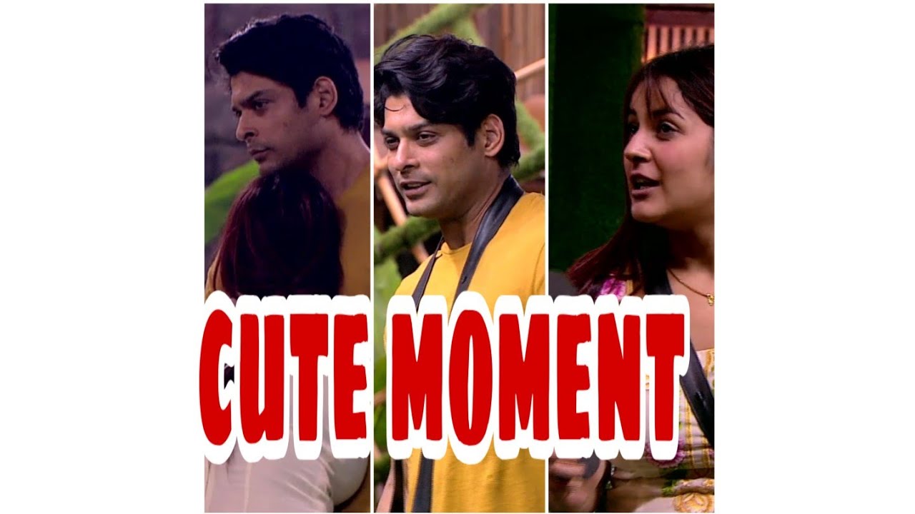 Bigg Boss 13 Update: Shehnaaz expresses her feeling towards Sidharth