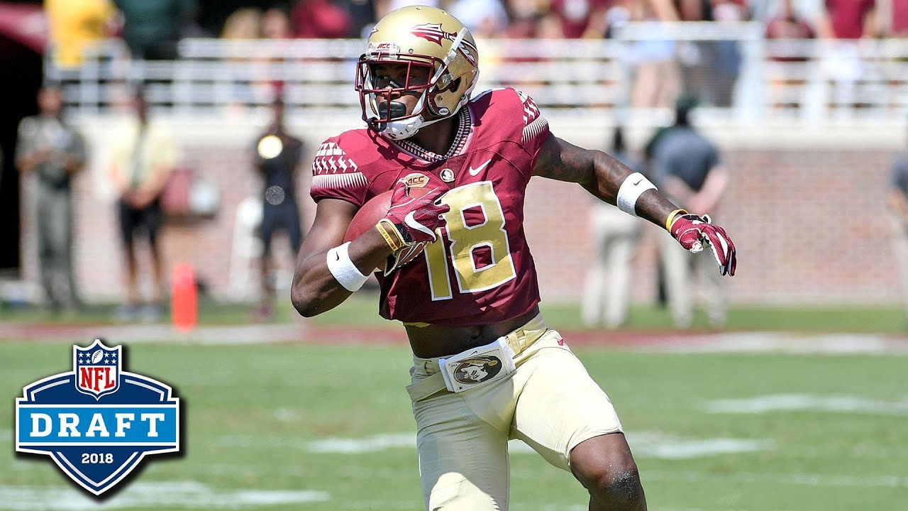 Auden Tate NFL Draft Tape | FSU WR