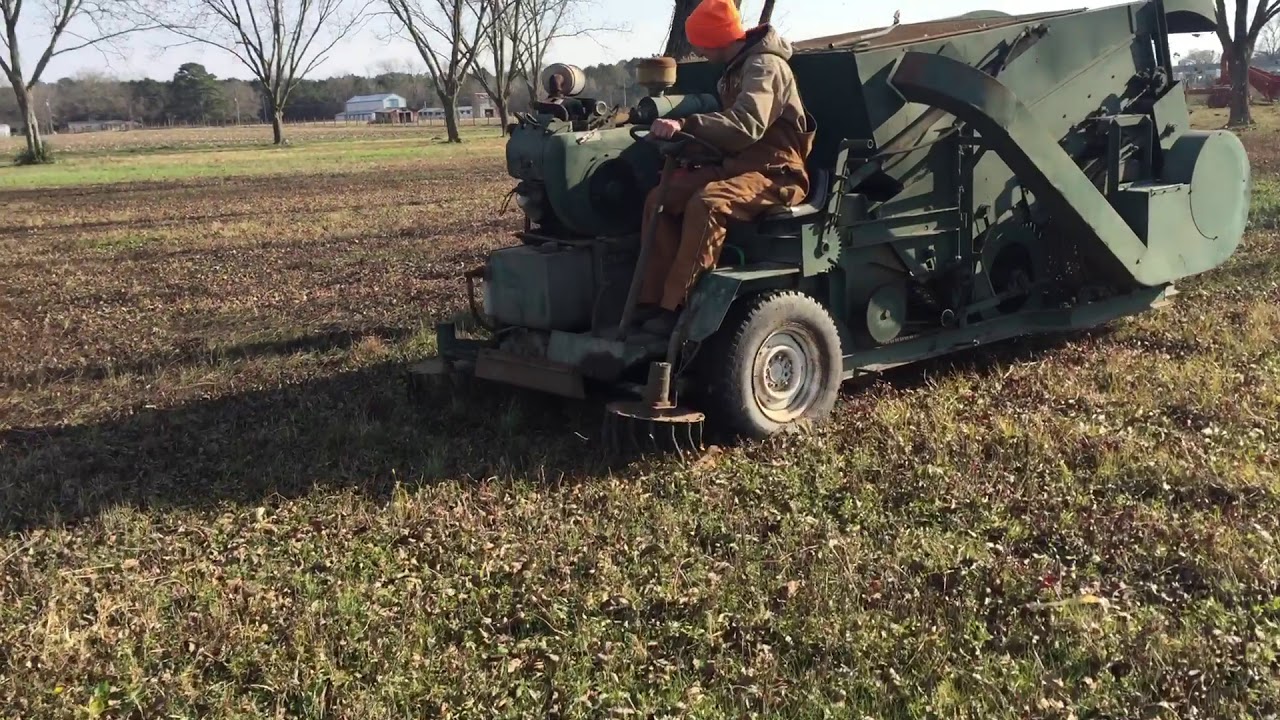 Lockwood pecan harvester