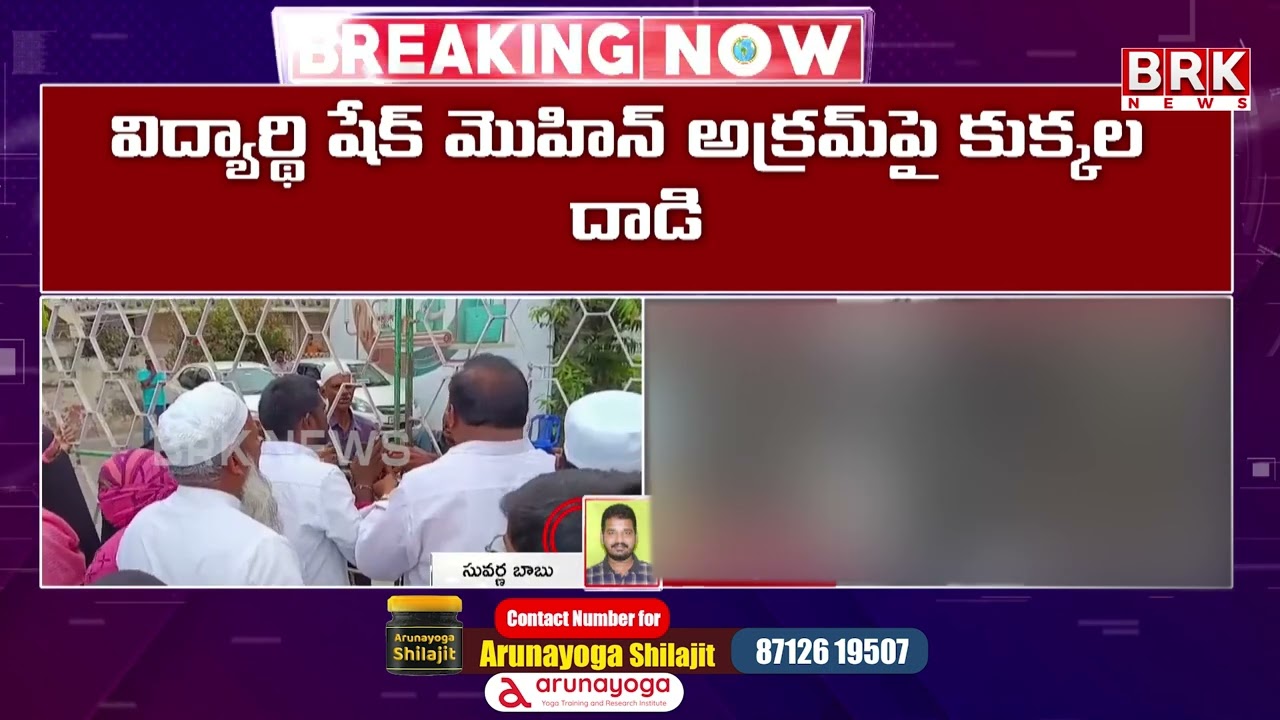 గుంటూరు నల్లచెరువులో వీధి కుక్కల దాడులతో భయం.. | Street Dogs Hulchul at Guntur | BRK News