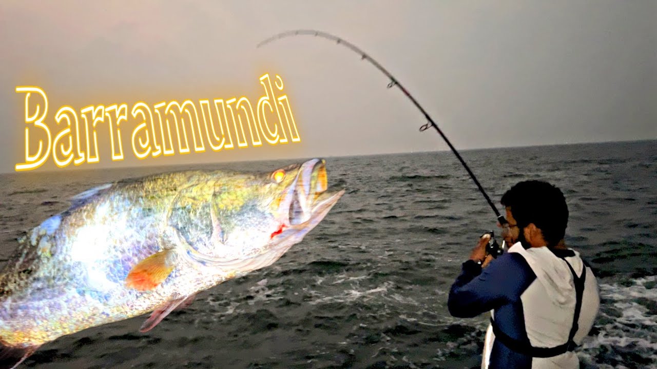 Big Barramundi fishing from Vijaydurg Konkan || toughest fight || रॉड रीलवर मोठा कानय मासा पकडला