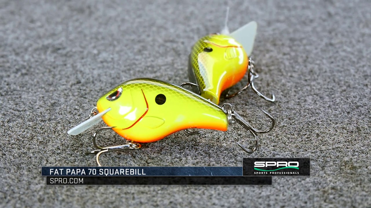 Catch Big Fish With SPRO Crankbaits