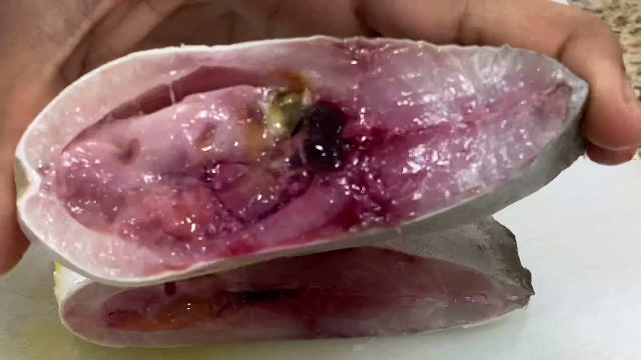How to Cut & Clean Golden Pompano Fish 🐟