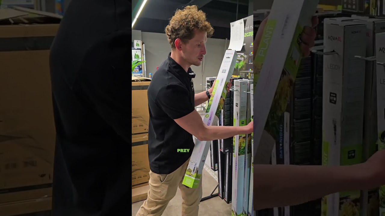 Jakie oświetlenie do akwarium o długości 80 cm z przykrywą?  por&oacute;wnanie świetl&oacute;wek i led&oacute;w!