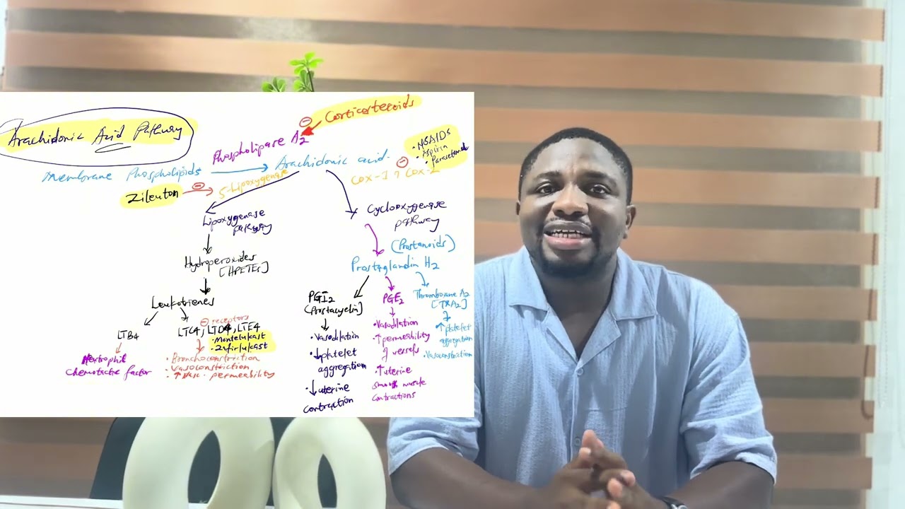Why NSAIDs Are Contraindicated in Asthma | USMLE High-Yield | Del USMLE