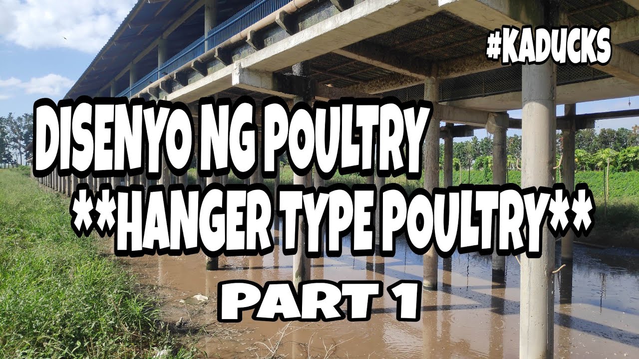 EP56 - ITIKAN FARMING - DISENYO NG POULTRY FARM BUILDING PORMA AT MATERYALES Part 1 Kaducks