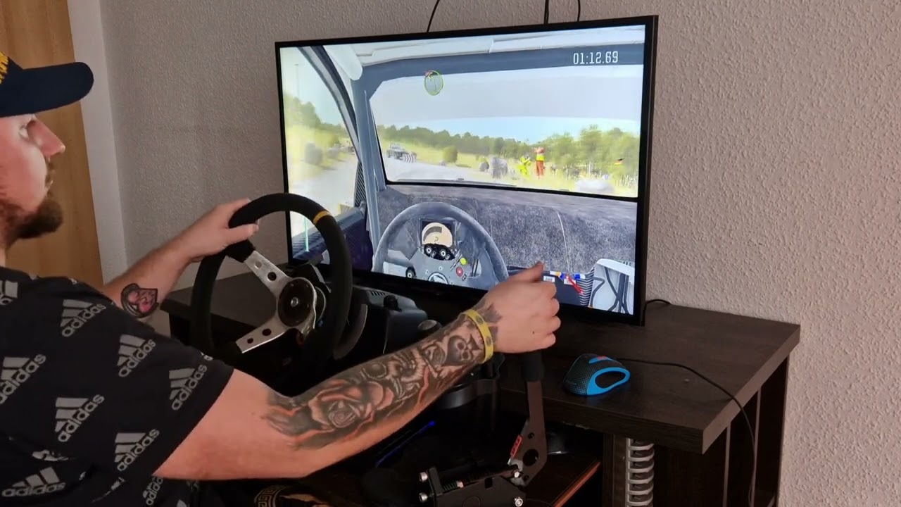 Dirt Rally +G29 L + ArteX