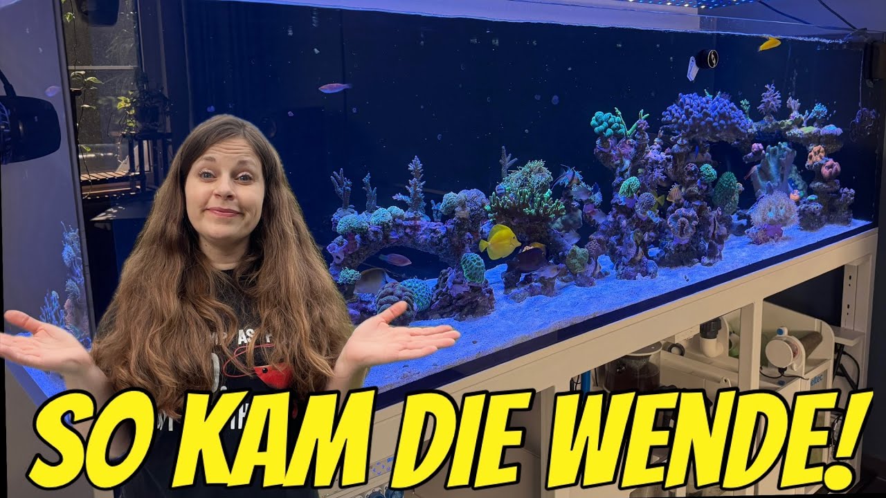 Riesen-Meerwasser-Aquarium Update🔥 Diese Entwicklung hätte ich nie erwartet!