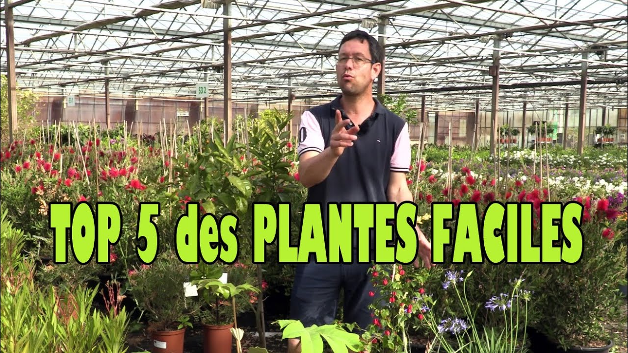 TOP 5 des PLANTES FACILES au JARDIN