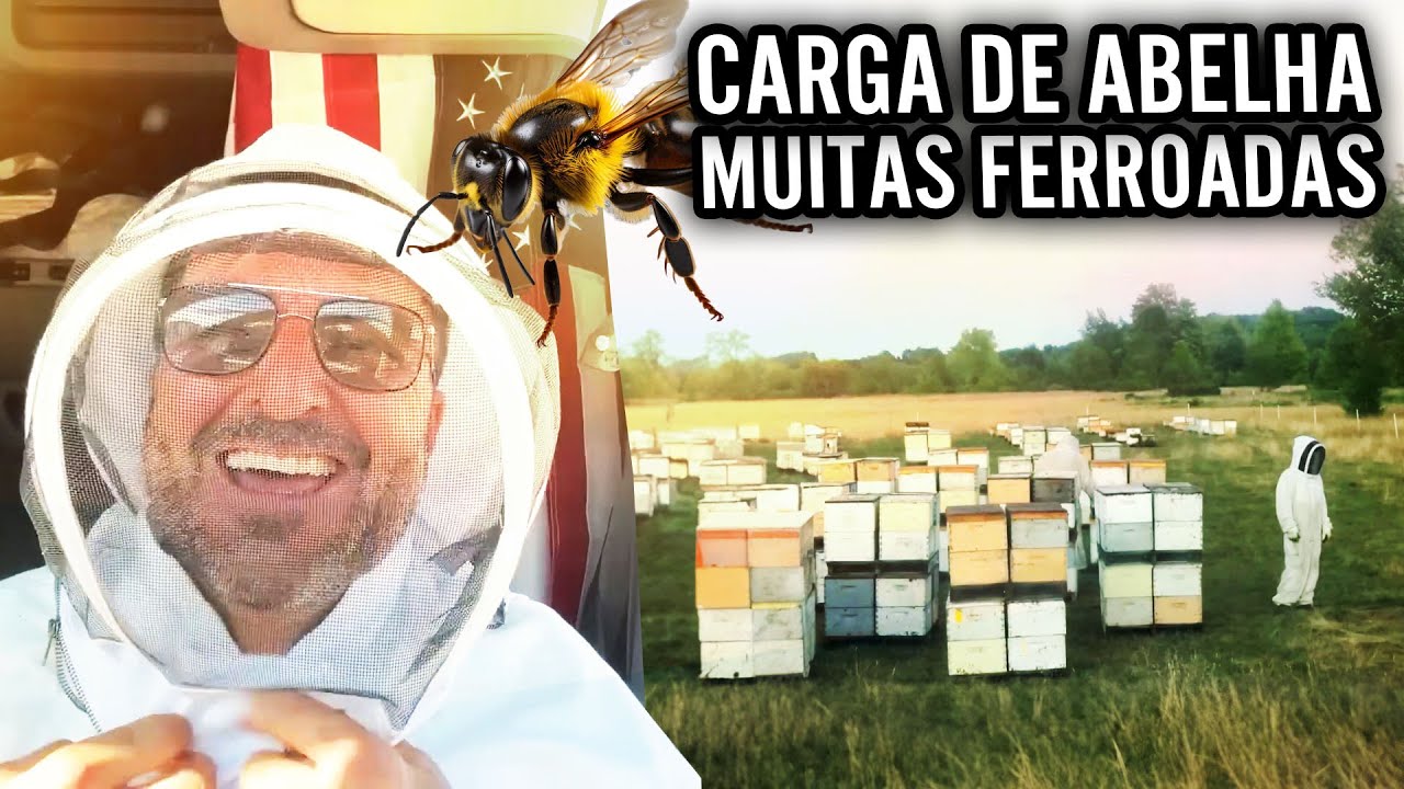 CARREGANDO ABELHAS 🐝  NOS EUA 🇺🇸 TOMEI MUITAS FERROADAS 😨