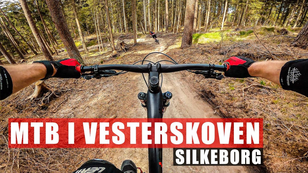 Vesterskoven MTB spor i Silkeborg - Alle de gode nedkørsler på mountainbike sporet